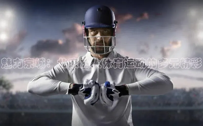 魅力京城：北京成人体育运动的多元精彩