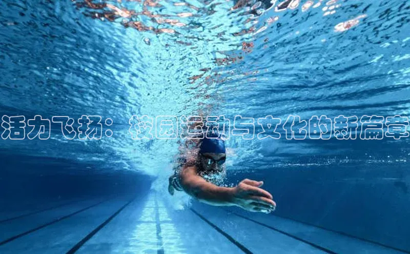 活力飞扬：校园运动与文化的新篇章